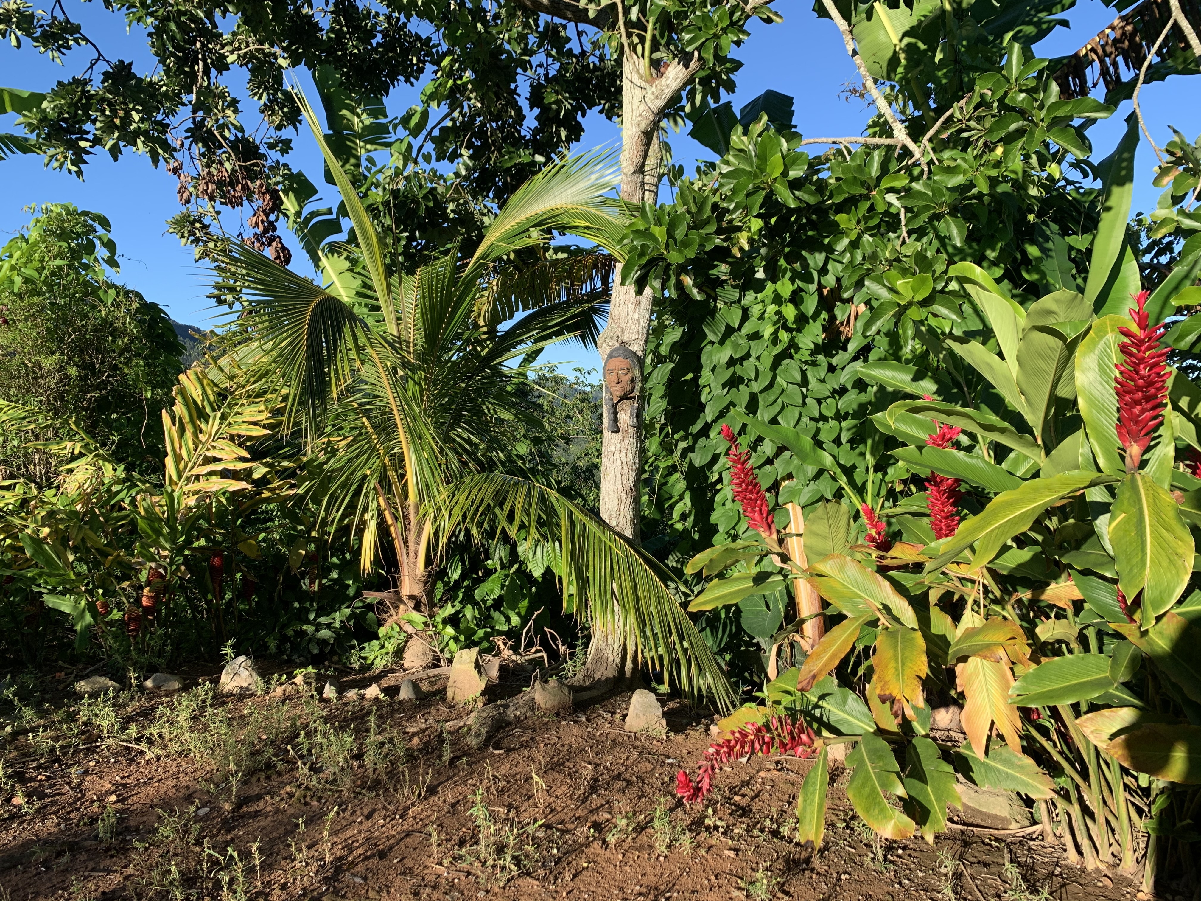 samsung gear 360 app