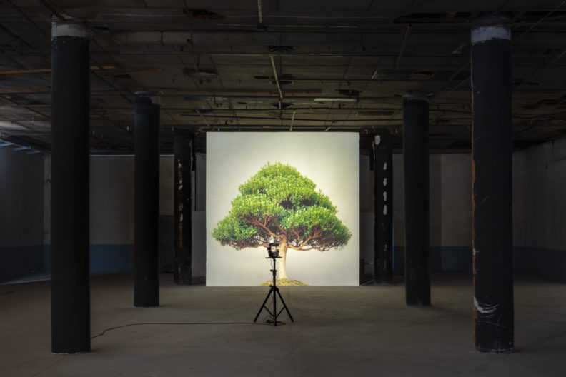 <p>Ceal Floyer, <em>Overgrowth</em>, 2004, Medium format slide and medium format slide projector, Dimensions variable. Installation shot by Zeynep Fırat. © Ceal Floyer. Courtesy Lisson Gallery; Esther Schipper Gallery, Berlin, 303 Gallery, New York; Galleria Massimo Minini, Berscia. Within Protocinema’s <em>Once Upon A Time Inconceivable</em>, 2021</p>